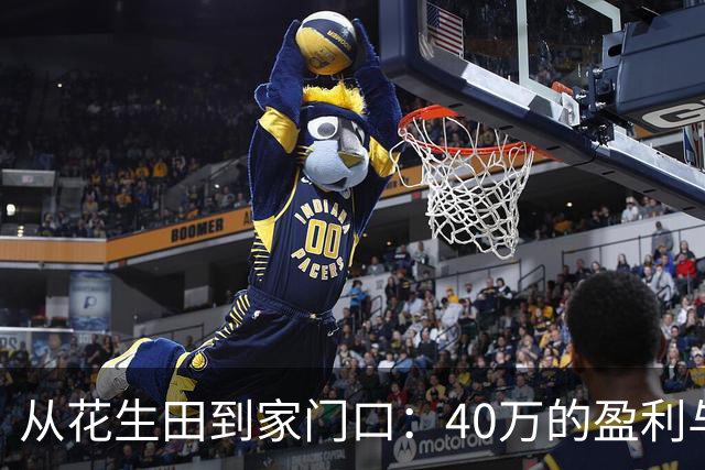 从花生田到家门口：40万的盈利与鸡蛋的温暖